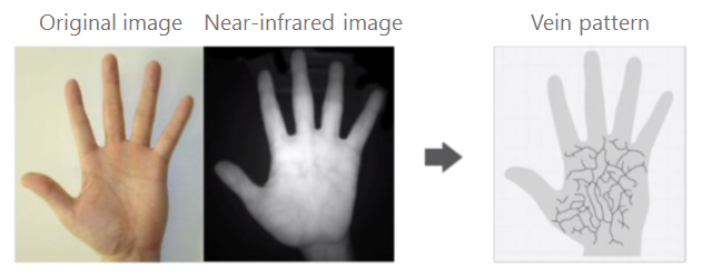 palm2
