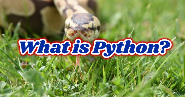 What is python?