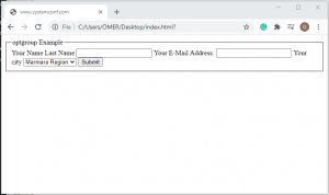 Html Form Tags With Examples – SYSTEMCONF