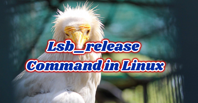 Lsb_release Command in Linux