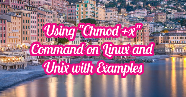 Using Chmod X Command On Linux And Unix With Examples Systemconf