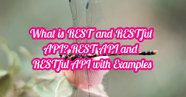 What is REST and RESTful API? REST API and RESTful API with Examples