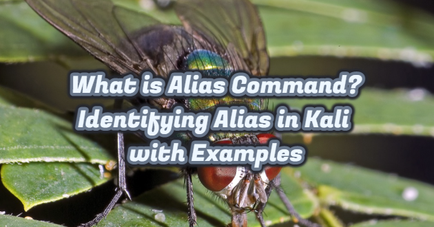 What is Alias Command? Identifying Alias ​​in Kali with Examples