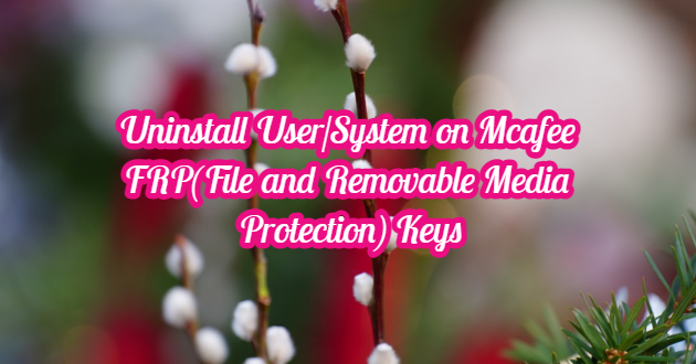 Uninstall User/System on Mcafee FRP(File and Removable Media Protection) Keys