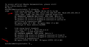 burp suite directory brute force burp suite directory brute force