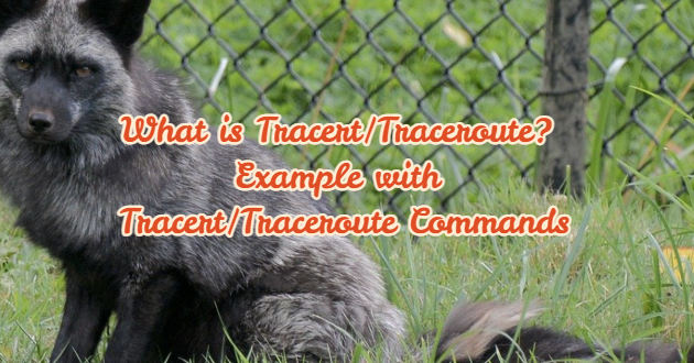 What is Tracert/Traceroute? Example with Tracert/Traceroute Commands1