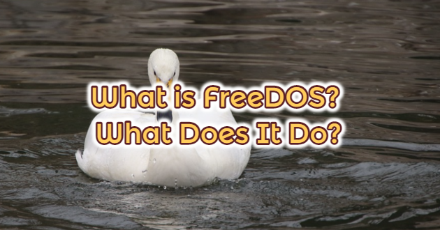 What is FreeDOS? What Does It Do?