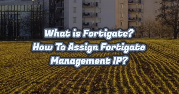 ip address assignment rules fortigate