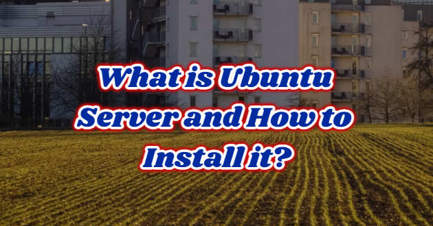 What is Ubuntu Server and How to Install it?