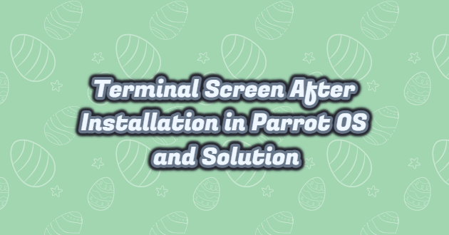 Terminal Screen After Installation in Parrot OS and Solution