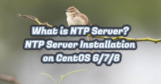 What is NTP Server? NTP Server Installation on CentOS 6/7/8